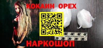 крисы Будённовск