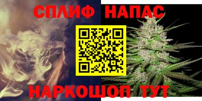 крисы Будённовск