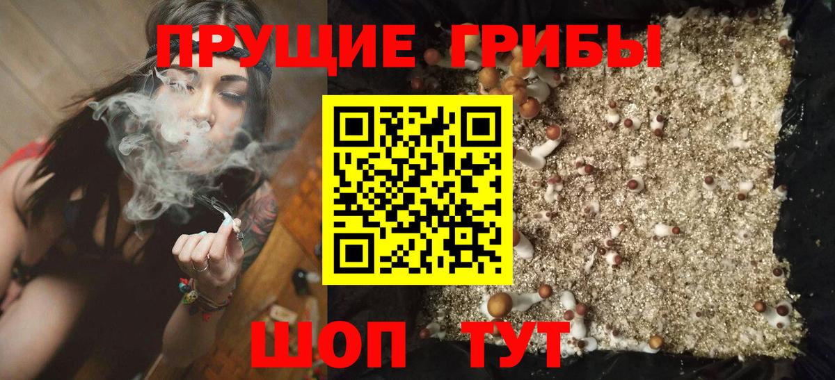 Пыть-Ях  Галлюциногенные грибы мухоморы  Вход с VPN 